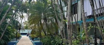 Wind Chimes-Condo in Cabarete DR