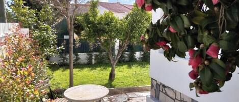 テラス / パティオ