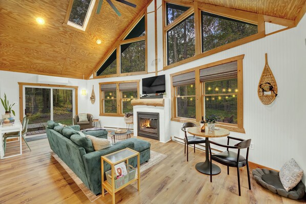 Smart TV, fireplace, books