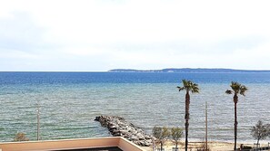 Vista desde la propiedad