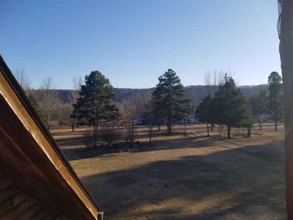 Vista desde una ventana a un campo cubierto de césped, con varios árboles y un edificio a lo lejos.