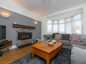 Televisor i llar de foc 