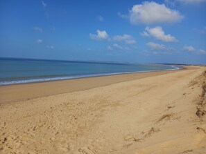 Playa en los alrededores 
