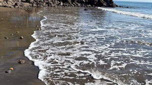 A beach with waves lapping at the shore, a rocky outcrop, and palm trees in the background. - Perla Pacifico (Puerto Armuelles)