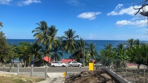 A coastal road with parked cars, palm trees, and a clear blue sky. - Perla Pacifico (Puerto Armuelles)