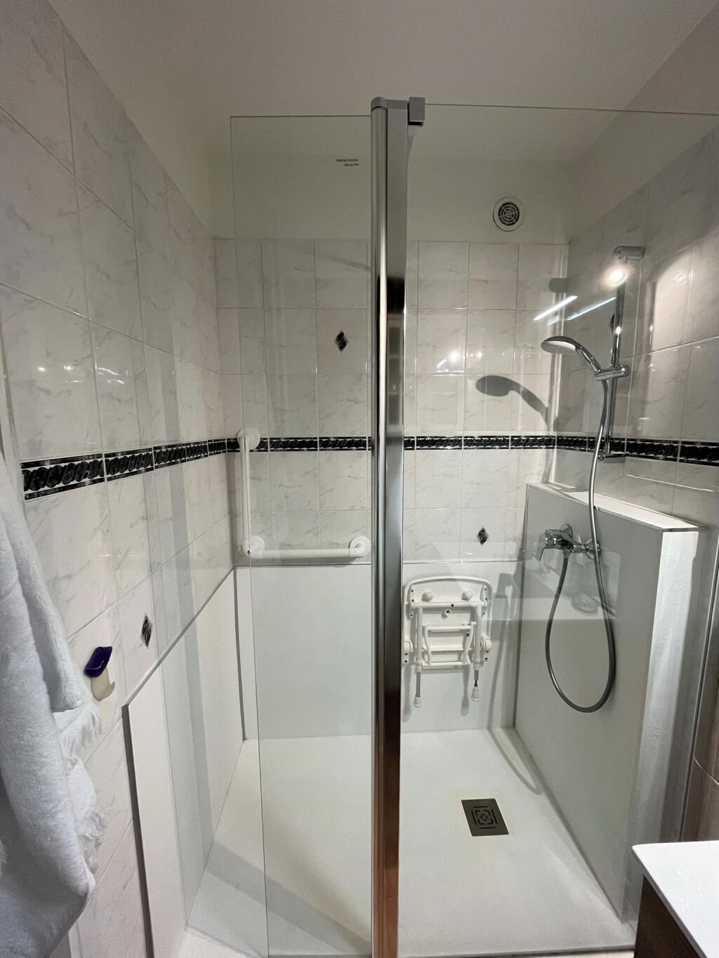 Shower, hair dryer, bidet, towels