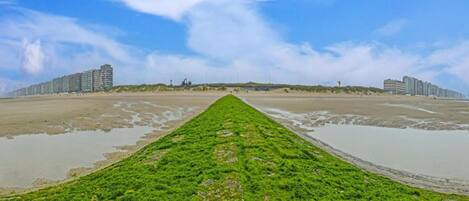 A coastal walkway with a grassy path leading to the beach, flanked by high-rise buildings and sandy shores.