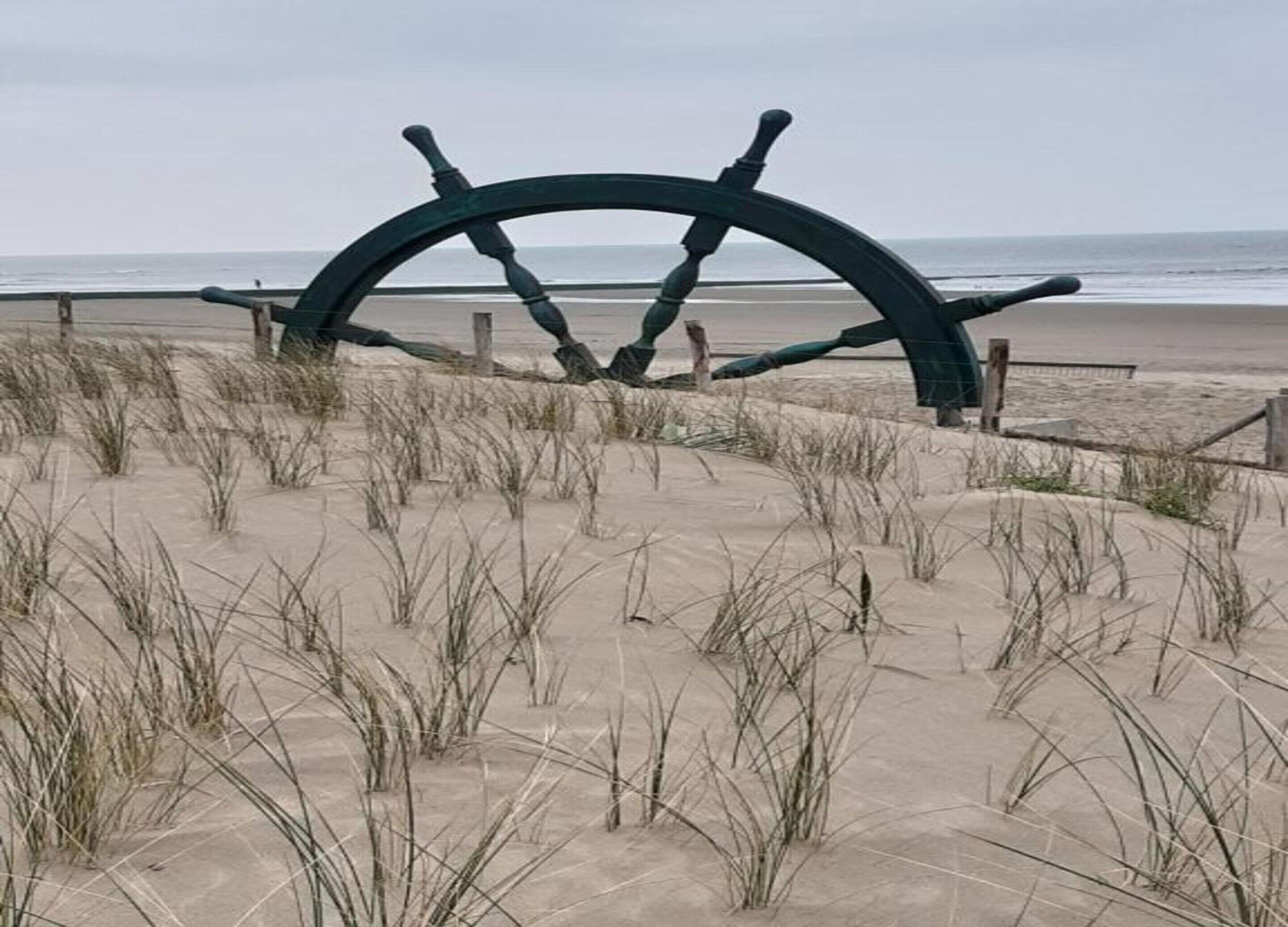 A large ship's wheel on a sandy beach with grass in the foreground.