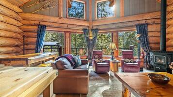 TV connectée, cheminée, livres