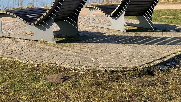 Two modern benches with a curved design, positioned on a paved area near a body of water, with a clear sky in the background.