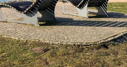 Apartment in Geesthacht Near Elbe River