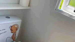 A toilet with a cartoon character sticker, a roll of toilet paper on a shelf, and a window with a view of greenery. - Mobile home 300m from the beach (Saint-Hilaire-de-Riez)