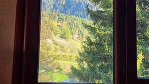 Une fenêtre donnant sur une montagne et des arbres.