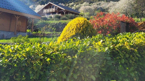 Une maison traditionnelle en bois, dotée d’un toit à pente, entourée d’une végétation luxuriante et de plantes en fleurs.