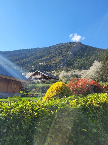Cute chalet surrounded by trees