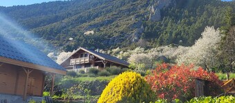 Cute chalet surrounded by trees
