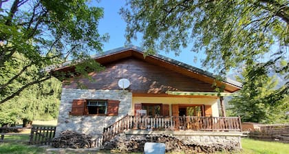 Cute chalet surrounded by trees