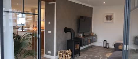 A modern living room with a fireplace, a television, and a sofa.
