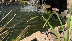 Een kleine waterval in een tuin met stenen traptreden en bamboe omheining.