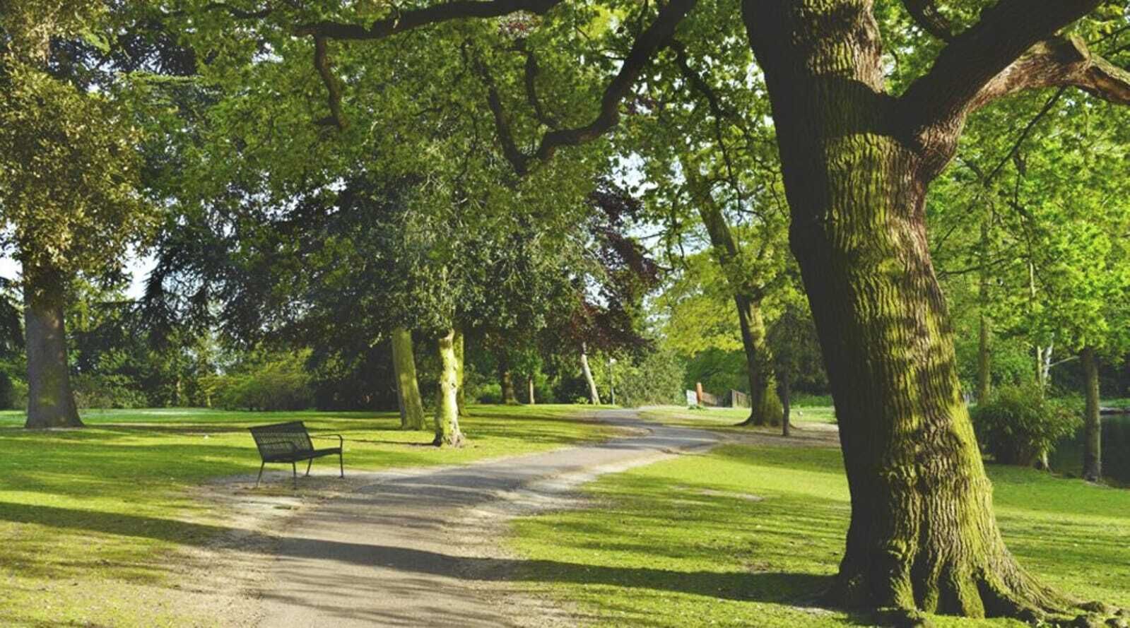 Een park met een bankje en een pad.