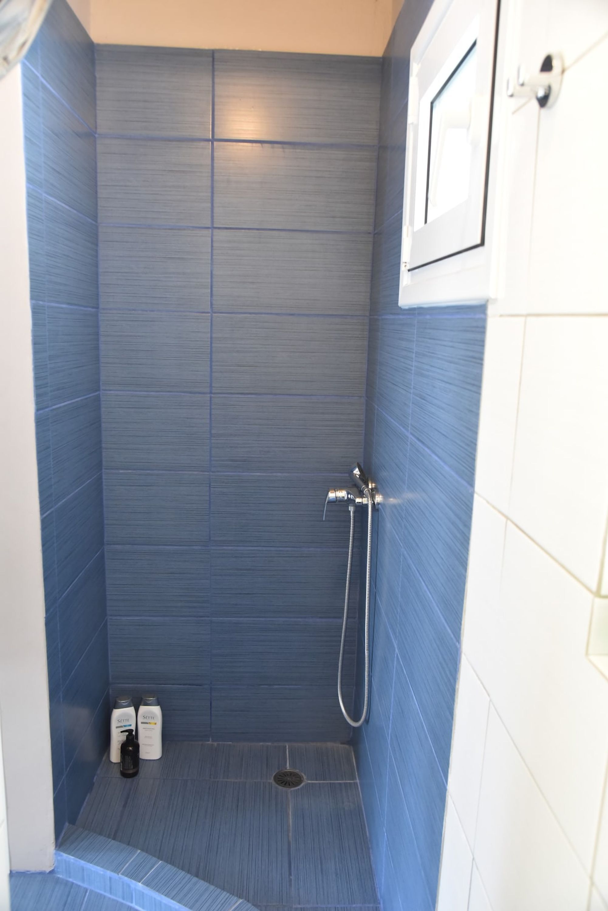 A small, enclosed shower area with blue tiles, a handheld showerhead, and two bottles of shampoo.