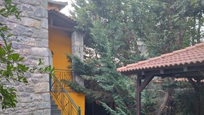 A stone staircase leading to a yellow building with a metal railing, surrounded by trees and a stone bench. - Vitina Number 5 House (Gortynia)