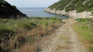 A coastal path with a dog walking, surrounded by grassy areas and rocky cliffs. - Gorgeous House Exclusive Location (Alonissos)
