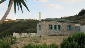 A stone house with a green roof and blue shutters, surrounded by greenery and a hill in the background. - Gorgeous House Exclusive Location (Alonissos)