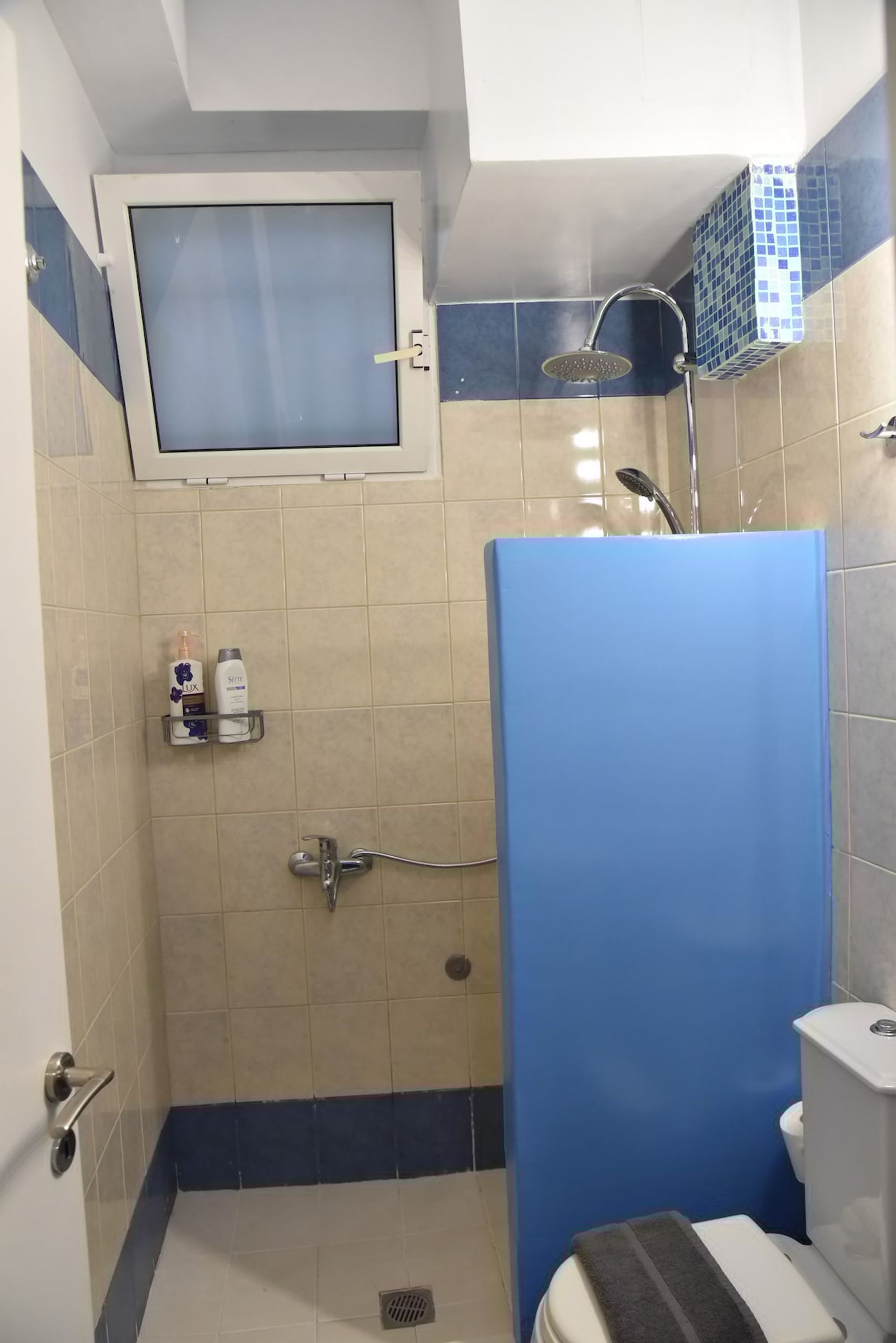 Un baño con ducha, inodoro y estante con artículos de aseo.