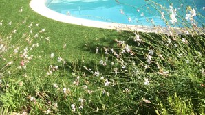 Una piscina de borde curvo, rodeada por un muro de piedra y una zona verde con flores blancas.
