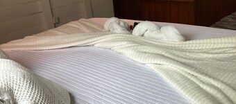 Beautiful chalet for couples in Praia do Rosa.