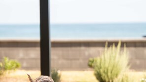 Property grounds - Belle Escapes - Sea Glass Cottage on the Esplanade (Henley Beach South)