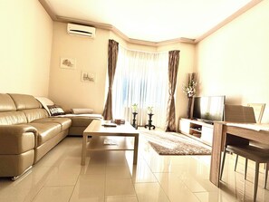 Smart TV, fireplace, DVD player, video library
