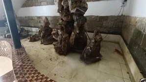 Une pièce avec un mur en pierre et une structure en bois rustique qui ressemble à un arbre.