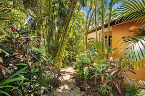 Property grounds - Secluded Oceanview Villa Pool, Pickleball & Beach (Tambor Beach)
