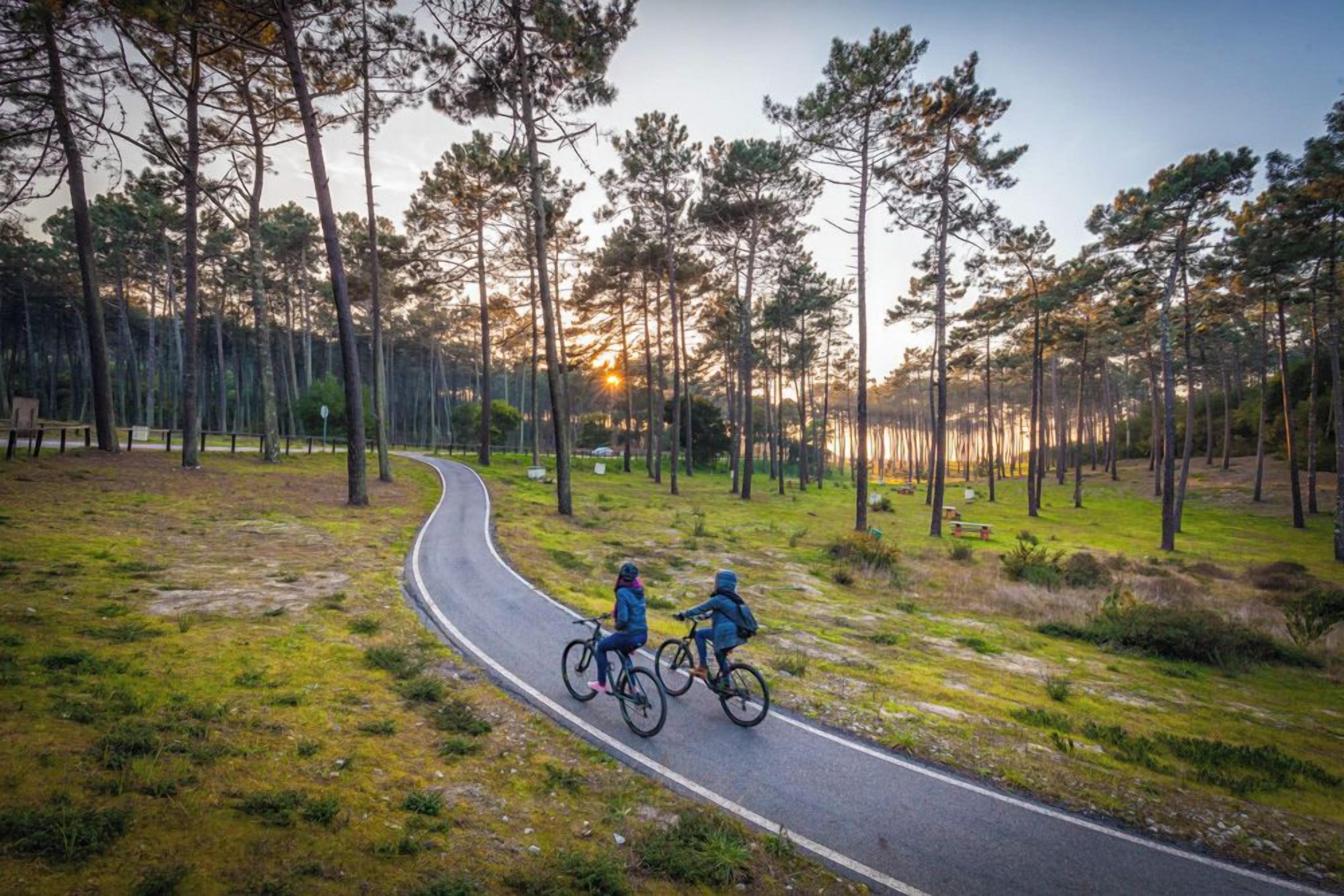 A paved path with two cyclists, surrounded by a forest with tall trees and a sunset in the background.