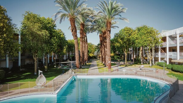 A swimming pool surrounded by palm trees and greenery, with a building in the background.