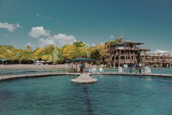 A pool with a central island, surrounded by a wooden deck and a watchtower structure.