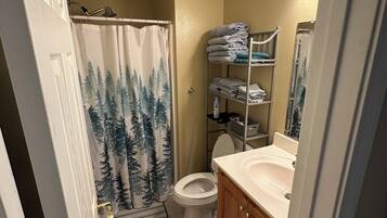 Shower, hair dryer, towels, soap