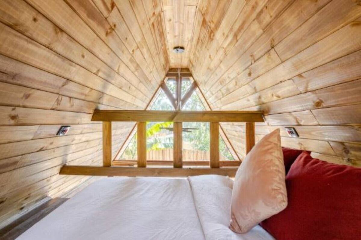 A wooden cabin with a sloped ceiling, a bed with white bedding and a red pillow, and a window with a view of greenery outside.