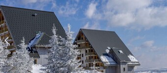 Appartement design avec vue sur le Sancy C41