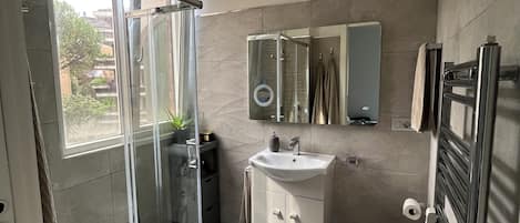 Shower, hair dryer, bidet, towels