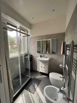 Shower, hair dryer, bidet, towels