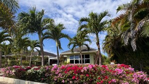 A residential area with a house surrounded by lush greenery and flowering plants. - Tropical Tranquility in Jamaica (Richmond Estate)