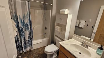 Hair dryer, towels, soap, toilet paper