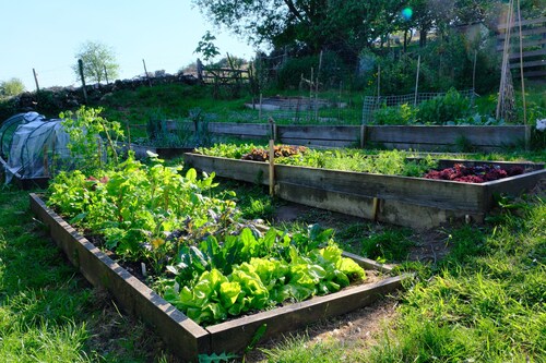 Berrywood Cottage: Rustic Charm Amidst Moorland Beauty