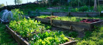 Berrywood Cottage: Rustic Charm Amidst Moorland Beauty