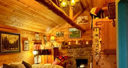 Cozy cabin in Longmont, dog friendly, near to CU, CSU, UNC and RMNP. WiFi, AC