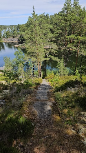 A natural trail leading to a lake surrounded by dense trees. - Dream Cottage in the Stockholm Archipelago (Djurhamn)
