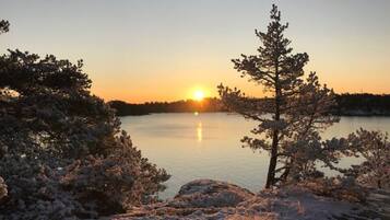 Una escena serena junto al lago, con una vista despejada del atardecer sobre el agua, rodeada de árboles cubiertos de nieve.